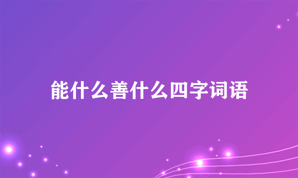 能什么善什么四字词语