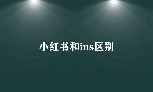 小红书和ins区别