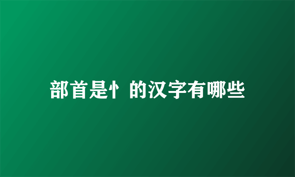 部首是忄的汉字有哪些