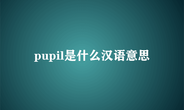 pupil是什么汉语意思
