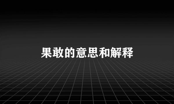 果敢的意思和解释