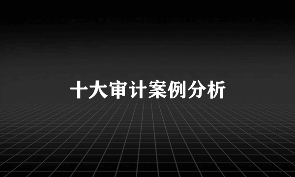 十大审计案例分析