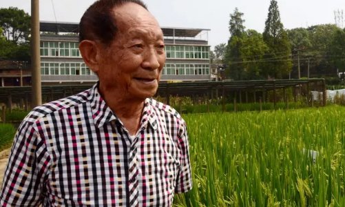 袁隆平的成就有哪些？