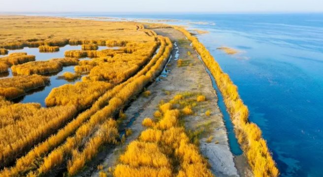 新疆海拔高度是多少米