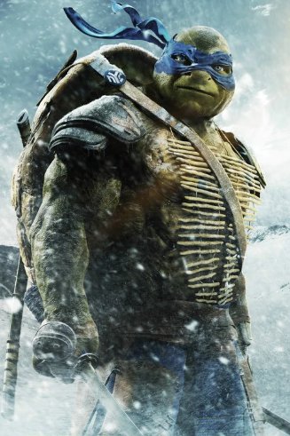 关于《忍者神龟》的名字有哪些？