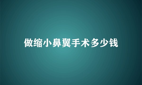 做缩小鼻翼手术多少钱