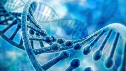 双交换过程是什么？