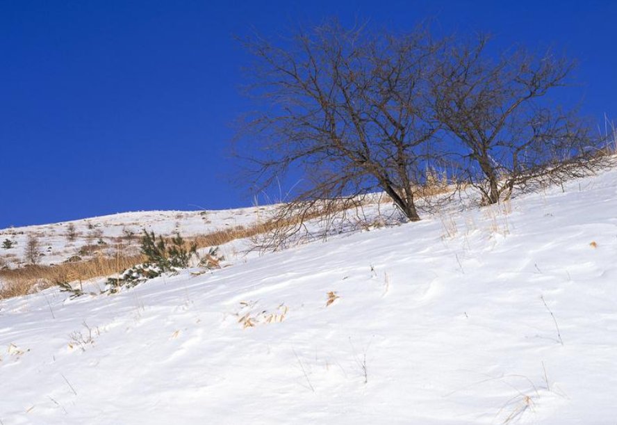 冬至是冬天来了还是冬天结束了/?