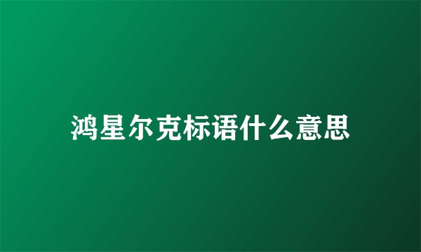 鸿星尔克标语什么意思