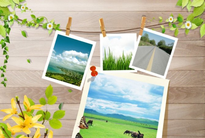 一寸的尺寸是多少×多少?