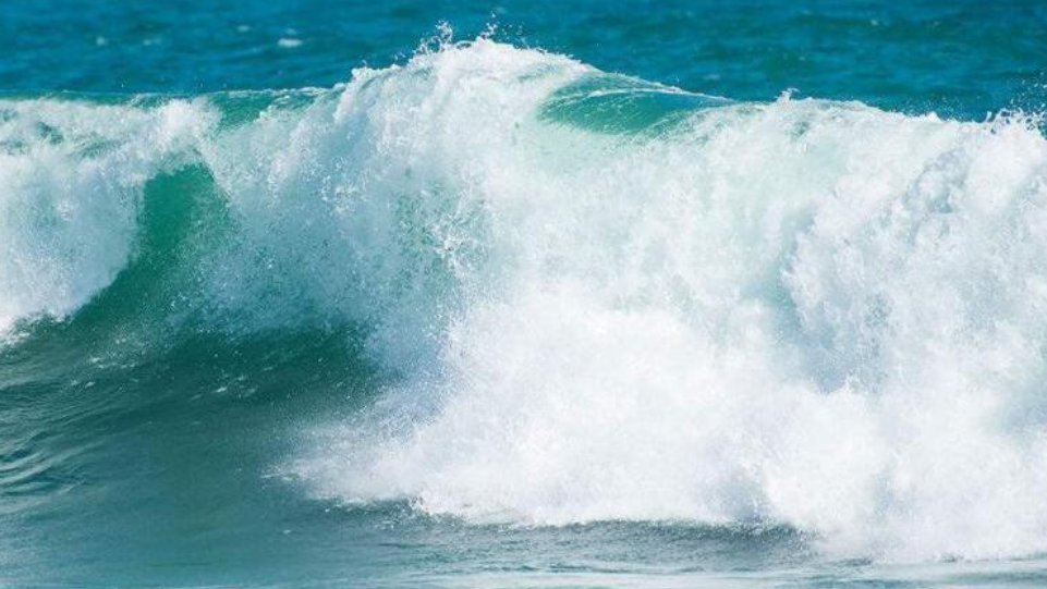 前浪拍死在沙滩上的上一句话是什么?