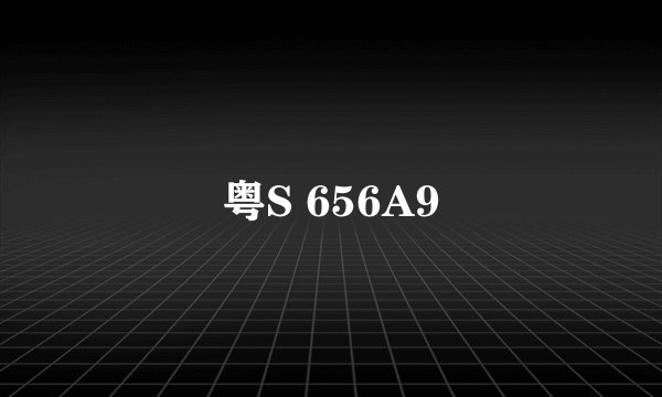 粤S 656A9