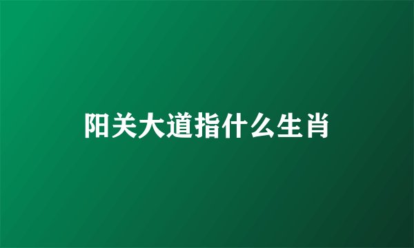 阳关大道指什么生肖