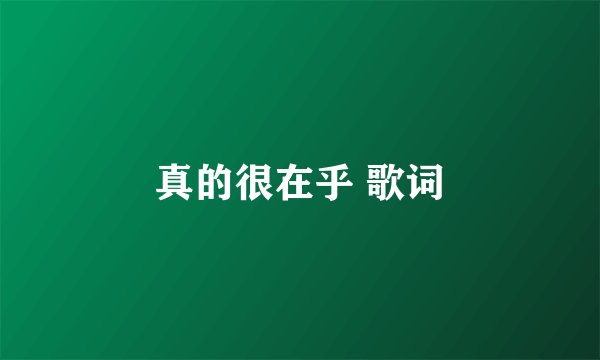 真的很在乎 歌词