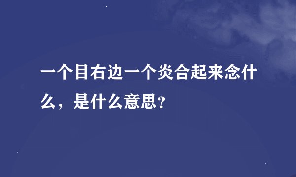 一个目右边一个炎合起来念什么，是什么意思？