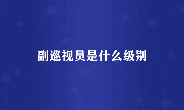 副巡视员是什么级别