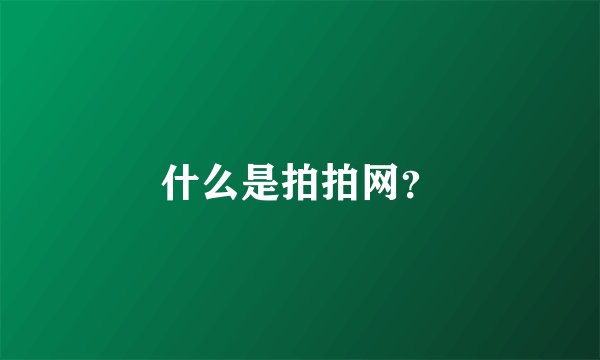 什么是拍拍网？