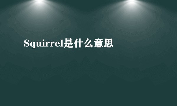 Squirrel是什么意思