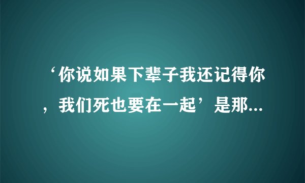 ‘你说如果下辈子我还记得你，我们死也要在一起’是那首歌里的歌词？