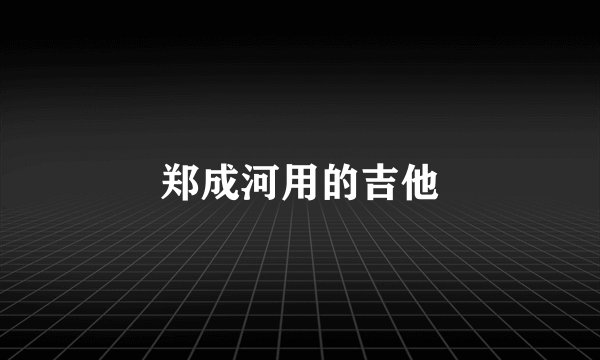 郑成河用的吉他