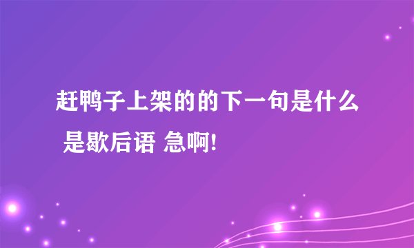 赶鸭子上架的的下一句是什么 是歇后语 急啊!