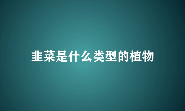 韭菜是什么类型的植物