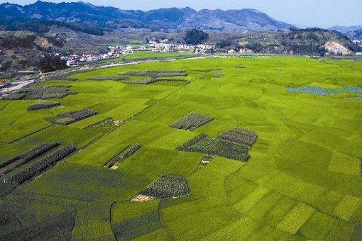 平方公里是什么意思?