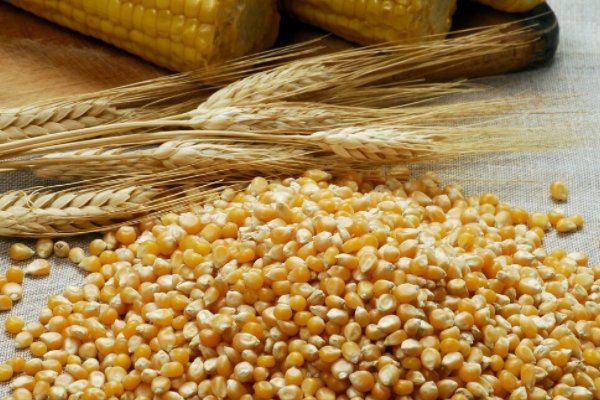 全球食品价格急速攀升,咖啡和茶大涨价,对中国物价是否会有影响?