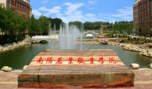 南阳大专学校有哪些