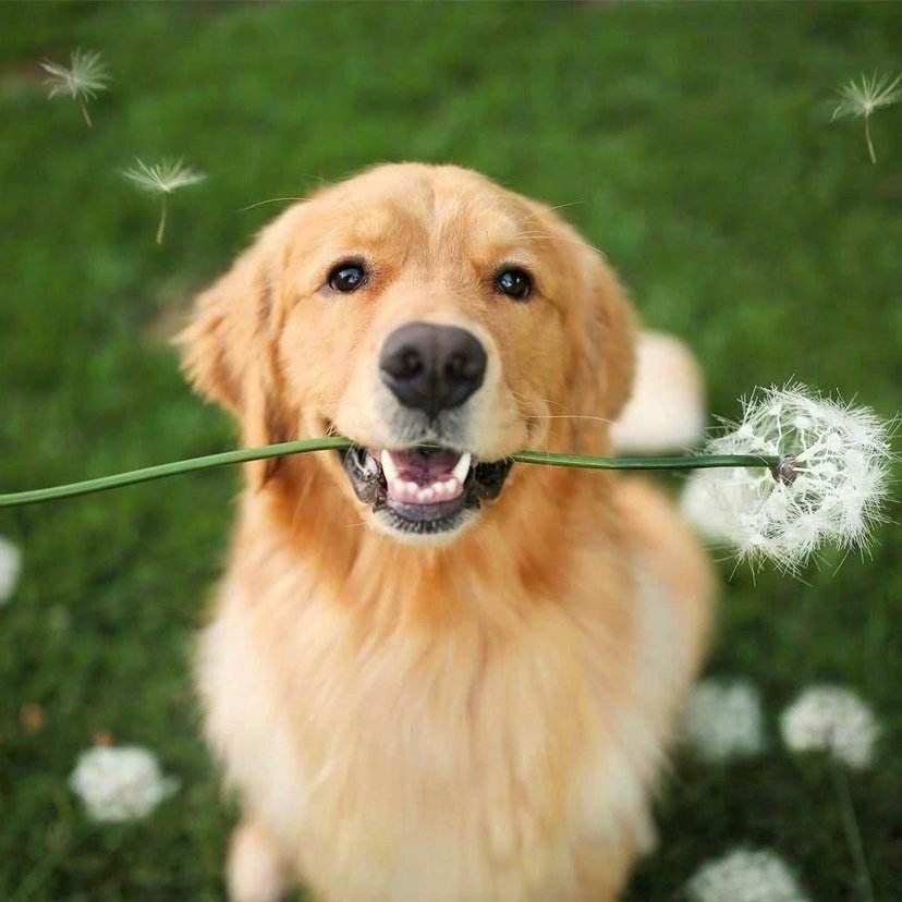 单身的八大好处