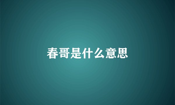 春哥是什么意思