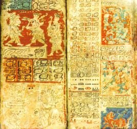 德雷斯顿抄本的抄本内容