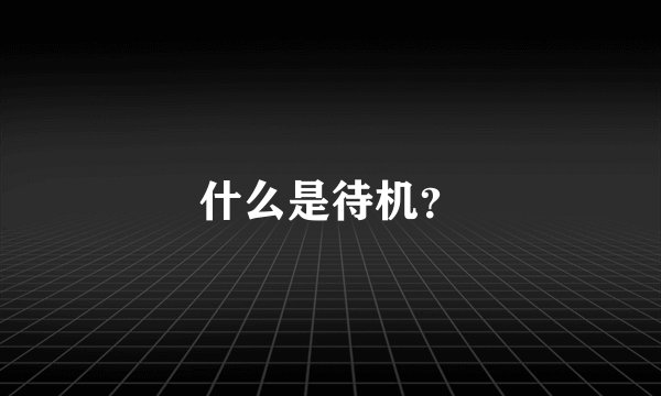 什么是待机？
