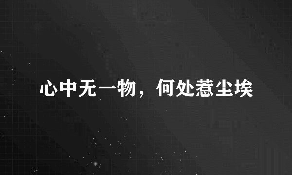 心中无一物，何处惹尘埃