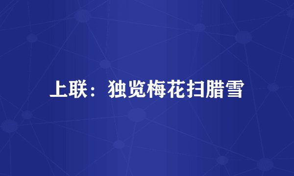 上联：独览梅花扫腊雪