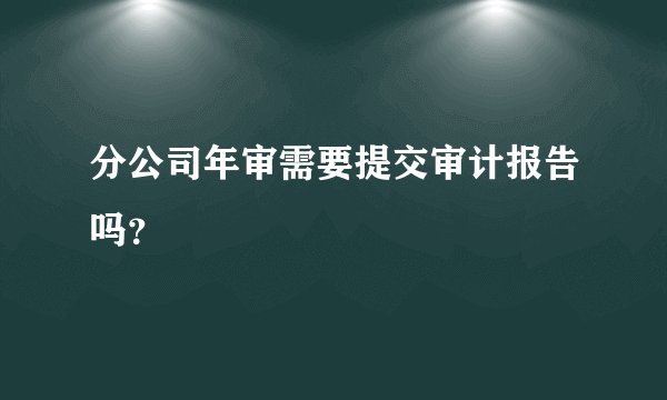分公司年审需要提交审计报告吗？