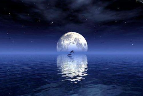 “但愿人长久，千里共婵娟”的婵娟是什么意思