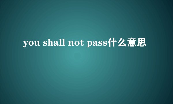 you shall not pass什么意思