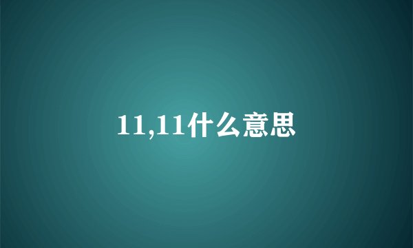 11,11什么意思