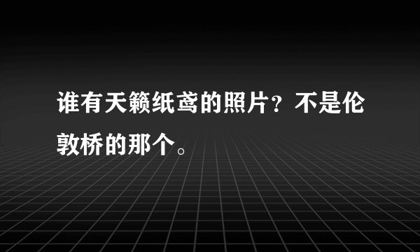 谁有天籁纸鸢的照片？不是伦敦桥的那个。
