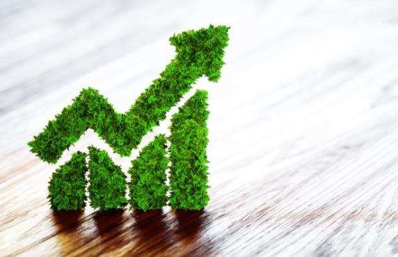 可持续发展的基本内涵的概念