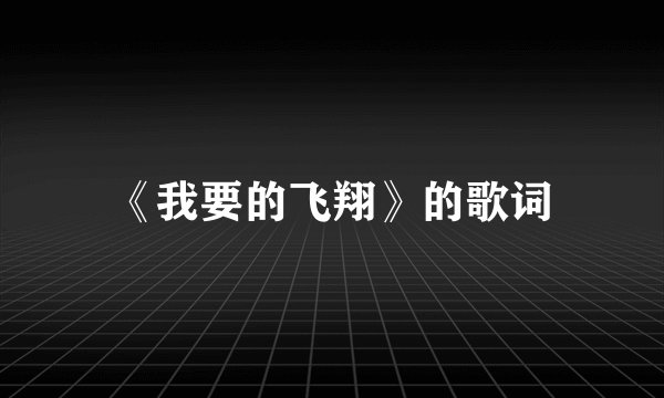 《我要的飞翔》的歌词