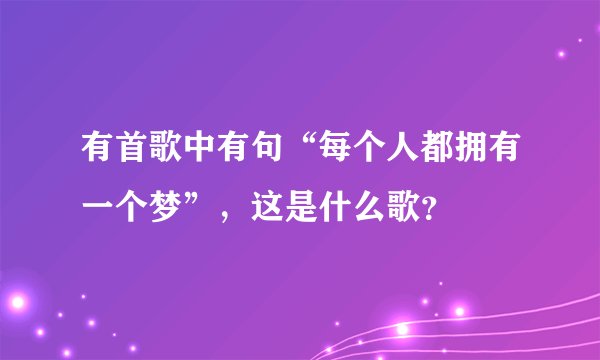 有首歌中有句“每个人都拥有一个梦”，这是什么歌？