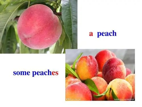 peach复数是什么?