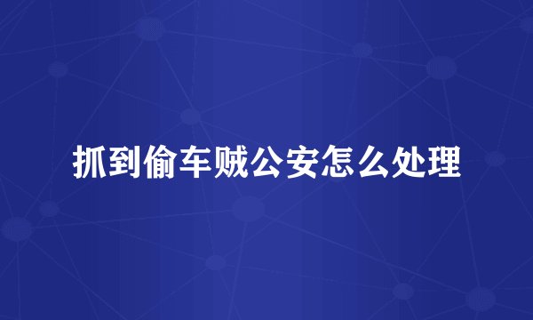 抓到偷车贼公安怎么处理