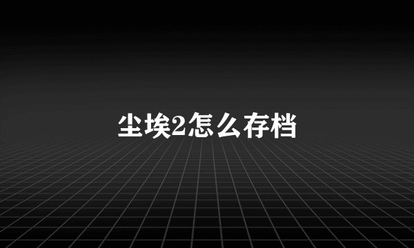 尘埃2怎么存档