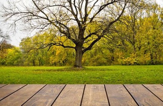 三个从怎么造句子。