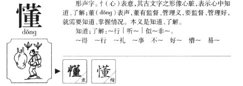 懂组词有哪些词语