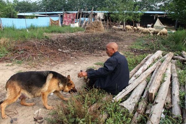 甘肃救人牧羊大叔发文，因为马拉松事件是否打乱了牧羊人的生活？
