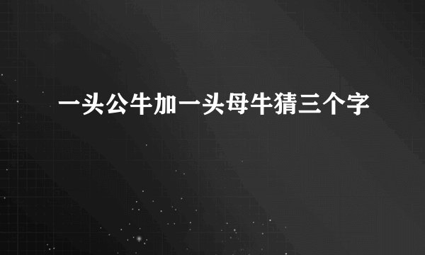 一头公牛加一头母牛猜三个字